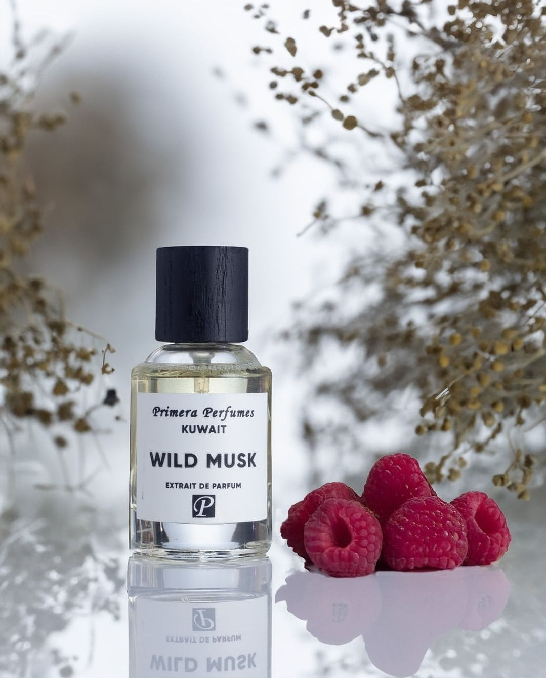 PRIMERA PERFUMES KUWAIT- wild musk